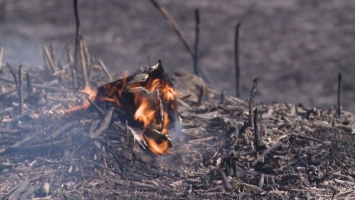 Тело женщины обнаружили при тушении пожара в селе Лопуховка Волгоградской области
