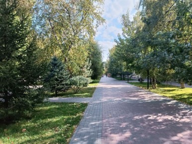 Синоптики обещают до +20 в Волгоградской области